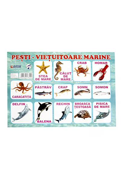 Arhi Design Poster carton A4 Pești cu lăcuire UV