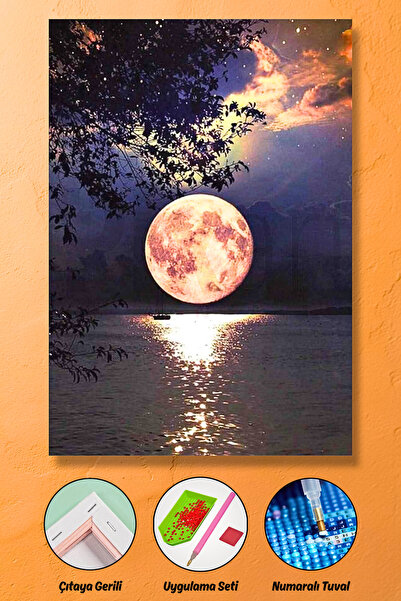 HONDEP 5d Elmas Boyama Mozaik Tablo Tuvale Gerili 40x50 Cm Dolunay Puzzle Tuv...