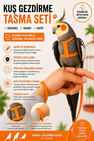 Petshop Turuncu Kuş Gezdirme Tasması Seti Ayarlanabilir Papağan Uçuş Tasması ...