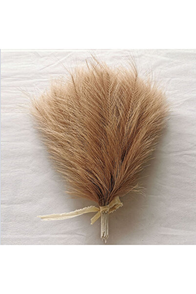 Choice Chocolate 10PCS Artificial Pampas Grass Crafts Bouquet For Home Weddin...