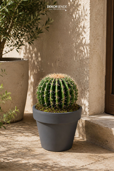 Dekorsende Artificial Gold Barrel (Barrel) Cactus 47 cm