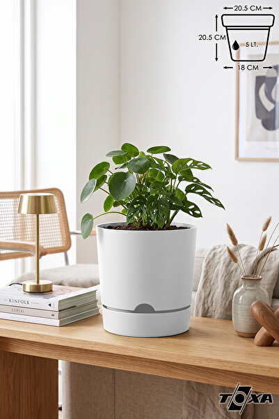 ToXA 5 Litre Beyaz Begonya Saksı Tabaklı Dekoratif Mat Plastik Saksı