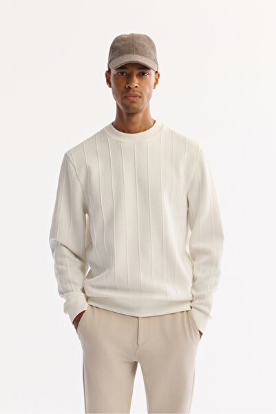 Avva Erkek Ekru Bisiklet Yaka Çizgili Elastan Regular Fit Sweatshirt A52Y1218