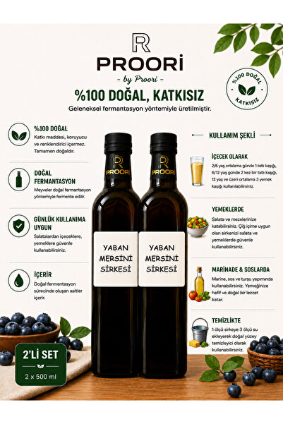Yıllanmış Yaban Mersini Sirkesi Doğal Fermente Canlı Sirke 500 ml 2'li Paket