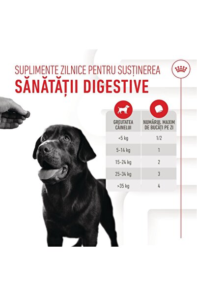 Royal Canin Digestion Chews Suplimente pentru susținerea digestivă pentru câini adulți 160 g