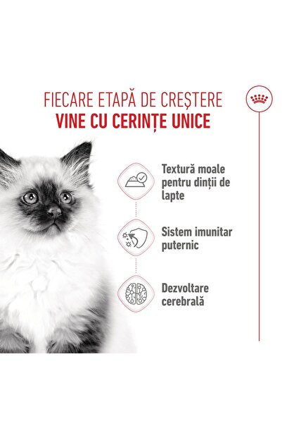 Royal Canin Paște umed pentru pisoi Junior 4-12 luni, Pachet 12 x 85g