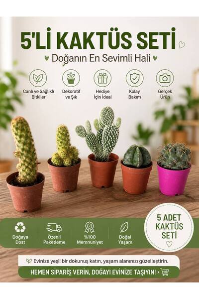 Yades Özel 5 Adet Canlı Kaktüs Seti - Hediyelik Mini Bitki Koleksiyonu