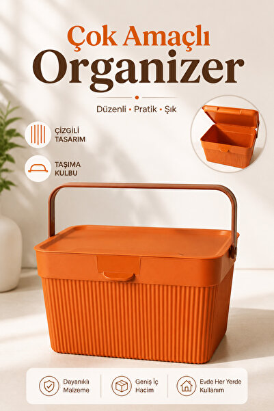 Poomy 6 Litre Çizgili Çok Amaçlı Düzenleyici Kapaklı Taşıma Kulplu Saklama Ku...