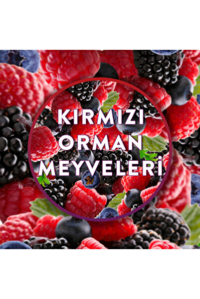 Air Wick Oda Kokusu Freshmatic Yedek Sprey Kırmızı Orman Meyveleri, 250ml