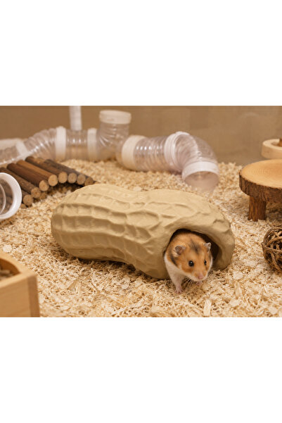 ecraft3D Fıstık Temalı Ev (Hamster)