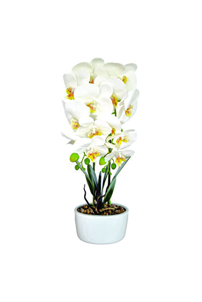 Naimeed Company Orhidee decorativă în ghiveci ceramic, 50 cm, Naimeed D5819, Alb