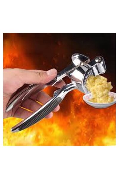 atastore2017 Luxury Metal Garlic Ginger Crusher