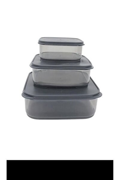 Generic Brand 3-Piece Horizontal Smoked Color Storage Container Royaleks-VIV-...