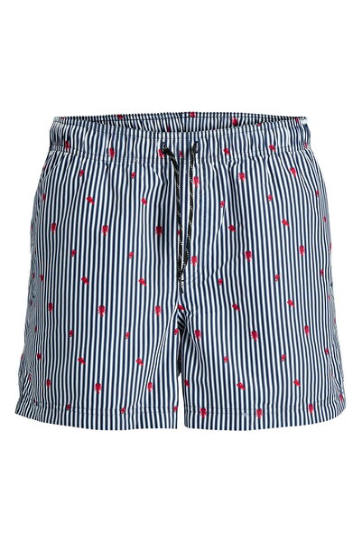 Jack & Jones Men's Regular Fit Deniz Sortu - Aruba