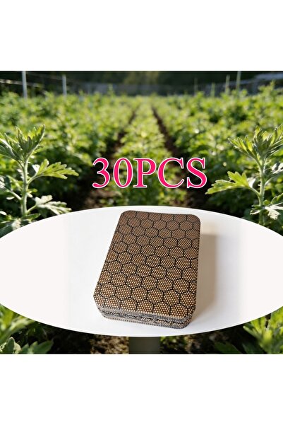 Choice1 S-SMX-30PCS 10/30/60 قطعة لصقات للرقبة والكتف والظهر والمعصم والركبة ...