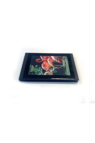 Peleman Cutie foto cu ramă de afișare autoadezivă pentru fotografii de 10x15cm