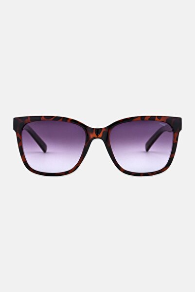 INVU Men B2213 Square Sunglasses, Dark Havana Brown