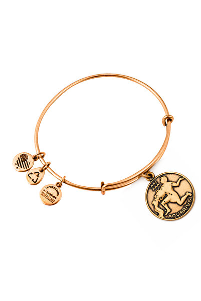 Alex and Ani Bratara Metal A13EB01AQRG