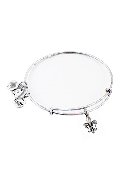 Alex and Ani Bratara Metal A09EB136RS
