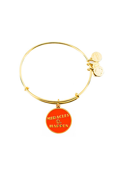 Alex and Ani Bratara Metal A12EB25RGS