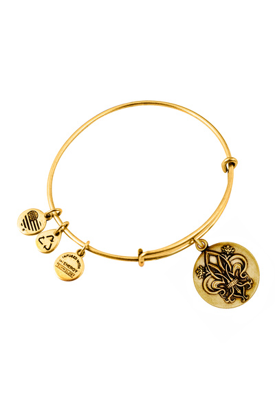 Alex and Ani Bratara Metal A16EBFDLRG