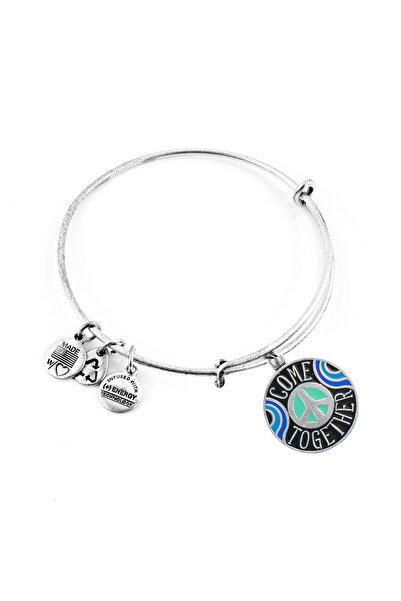 Alex and Ani Bratara Metal AS19EP02RS