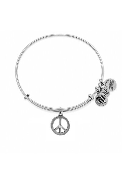 Alex and Ani Bratara Metal A09EB139RS