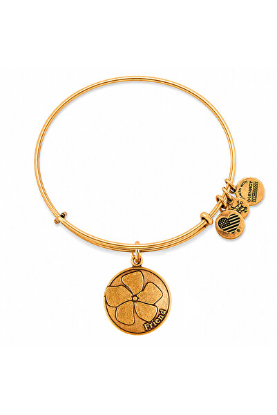 Alex and Ani Bratara Metal A12EB51RG