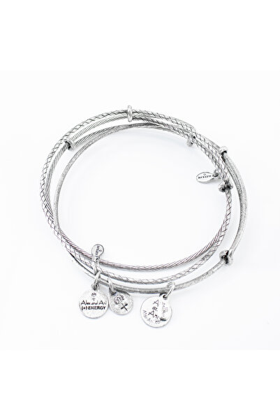 Alex and Ani Bratara Metal A09EB150RS