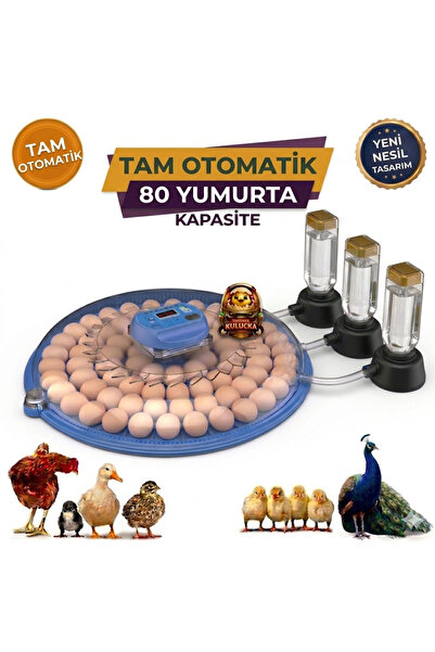 Aslan WZ-80(Incubator)-80 Yumurta Kapasiteli Tam Otomatik Kuluçka Makinesi