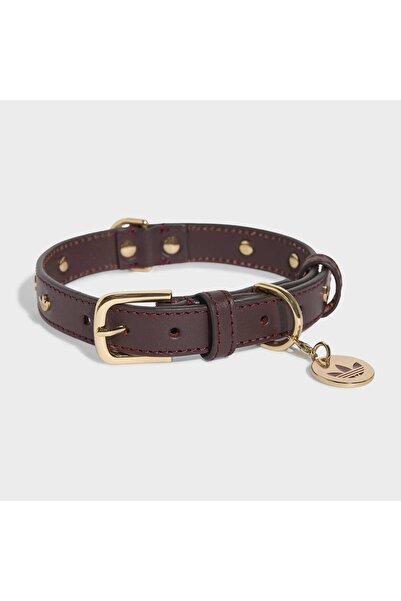 adidas Originals Bordo Pet Tasma (KY8799)
