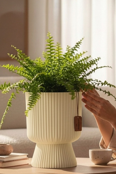 TEMMUZ HOME Lotus 1 Adet 1.8 Litre Ayaklı Saksı - 19.5 cm X 14 cm Çiçek ve Bi...