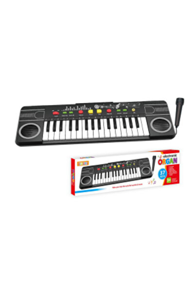 PlayFun Electric Organ With Microphone with 32 Keys 6511110055612