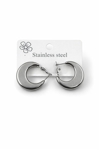 Bozhi Earrings Steel Silver Sparkling Style