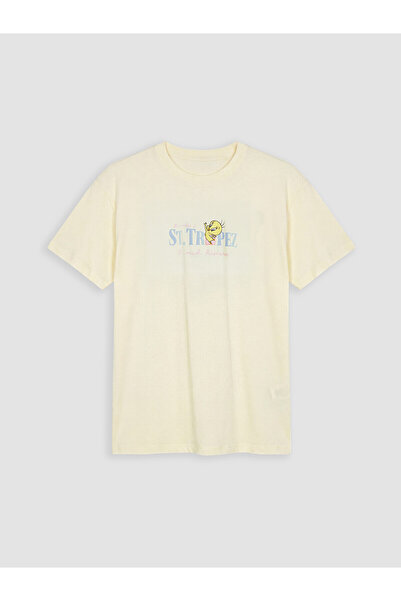 LC Waikiki Nevavm Women's T-Shirt with Oval Collar and Tweety Print