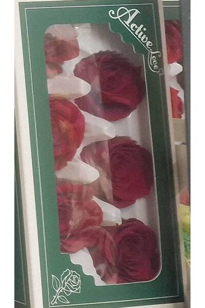 OEM Trandafiri criogenati, 6 bucati/cutie, diametru 6 cm Rosu Inchis