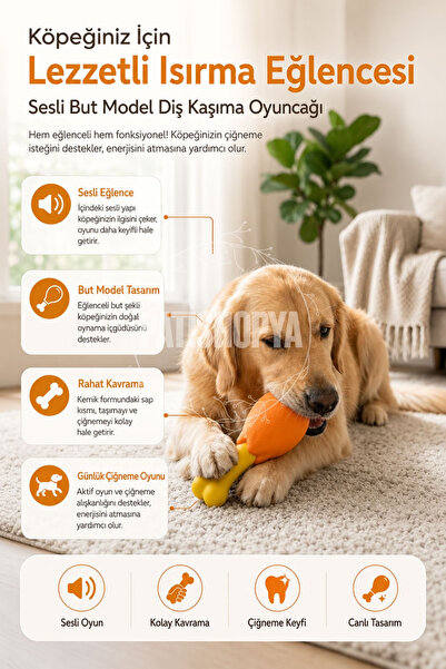 But Model Köpek Diş Kaşıma Oyuncağı Sesli Isırma Oyuncağı Çiğneme Kemirme Köpek Oyuncağı