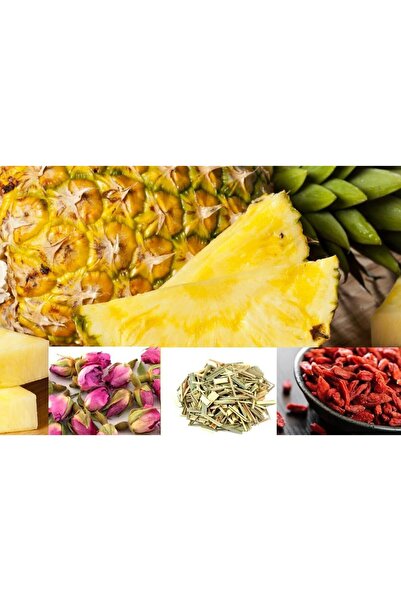 Livada cu Ceai Goji Mix Fruit Tea