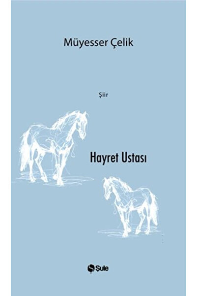 Şule Yayınları Hayret Ustası