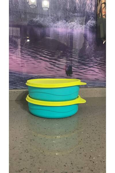 Tupperware 525 ml Container Set of 2