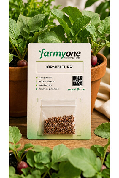 farmyone Kırmızı Turp Tohumu Yerli 500 Adet