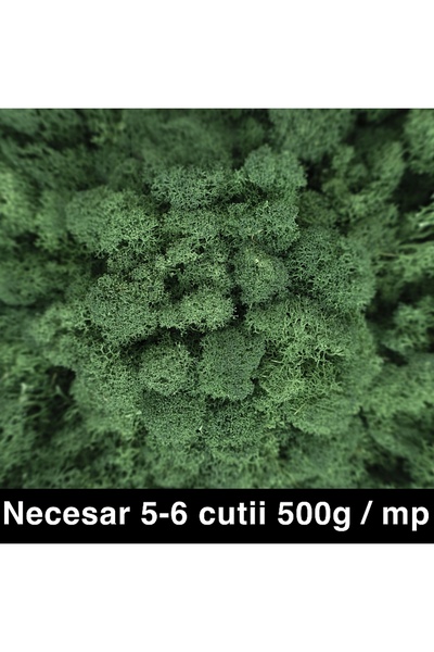 Roberto Rossi Licheni curatati si fara radacina conservati 500g NET, calitate...
