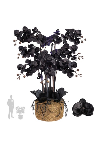 Roberto Rossi Orhidee artificiala neagra cu aspect H95 cm cu 9 tulpini si fru...