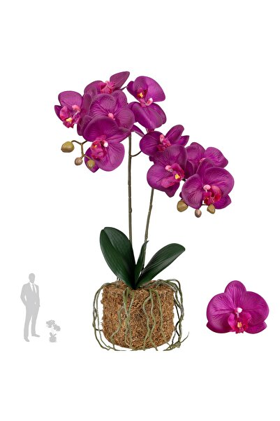 Roberto Rossi Orhidee artificiala mov cu aspect H53 cm cu 2 tulpini