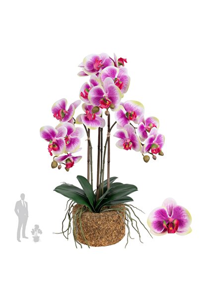 Roberto Rossi Orhidee artificiala mov cu alb si verde cu aspect H58 cm cu 3 t...