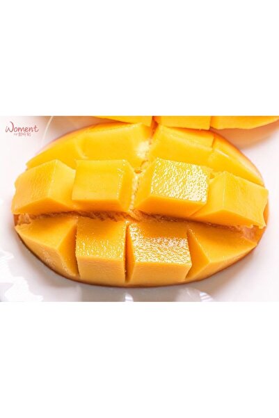YavuzTropikalFidan İRWİN MANGO FİDANI 2 YAŞ 70 CM (YERLİ ve ORGANİK ÜRETİM)