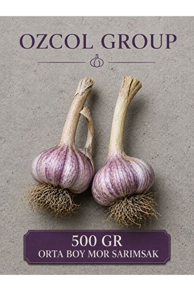 OZCOL GROUP MOR SARIMSAK 500GR ORTA BOY