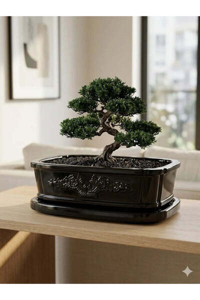VaseAtelier Bonsai El Yapımı Zemin Büyük Bitki Dekoratif Beton Saksı 9 Lt Siyah