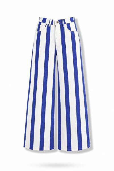 5in1Canpolat Blue Striped Straight Fit Jeans