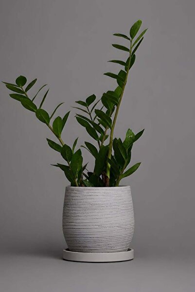 VASODEK Dekoratif Beton Saksı V-122-AÇİK GRİ